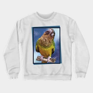 The brown-throated parakeet Crewneck Sweatshirt